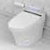 Elongated Smart Toilet Bidet with Auto Flush, Heated Seat, Air Drying, Remote Control, LED Display