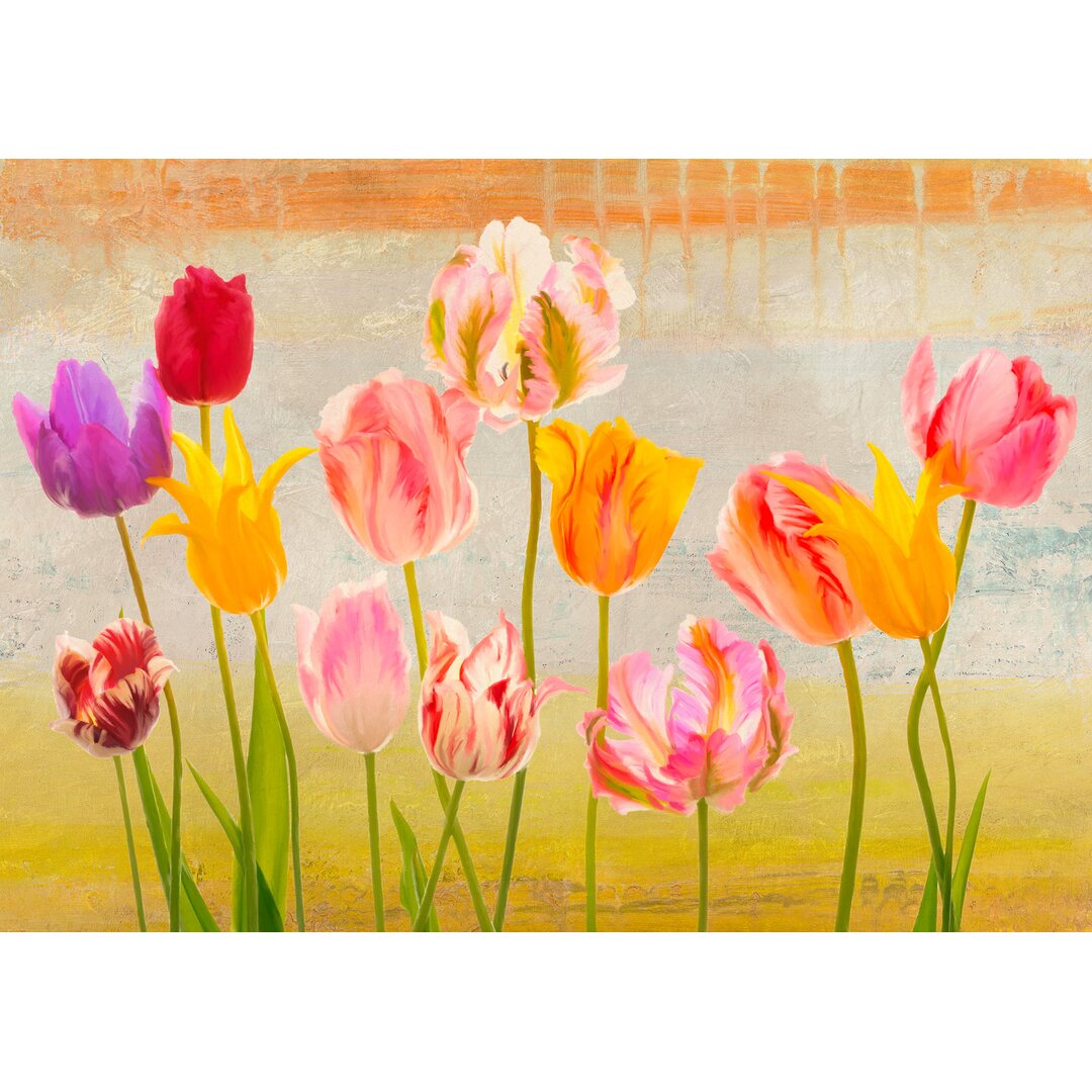 Leinwandbild Summer Tulips von Teo Rizzardi