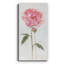 Pivoine I - impression sur toile tendue-1502834281