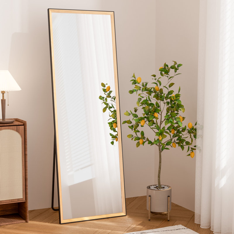 Adolar Pine Wood Bevel Rectangle Framed Full Length Mirror with Stand Floor Mirror, 60" x 20"