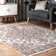 Anthonyville Oriental Indoor Rug