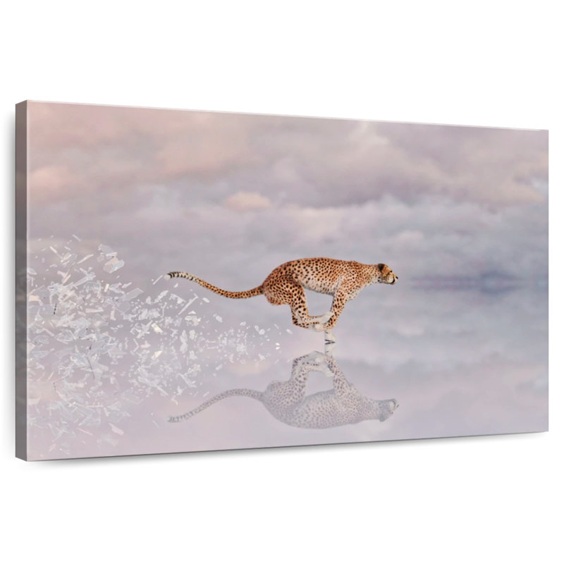 Chat sauvage Brampt