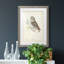 Little Owl Premium encadré mat - prêt à accrocher-1174590364-1174590365