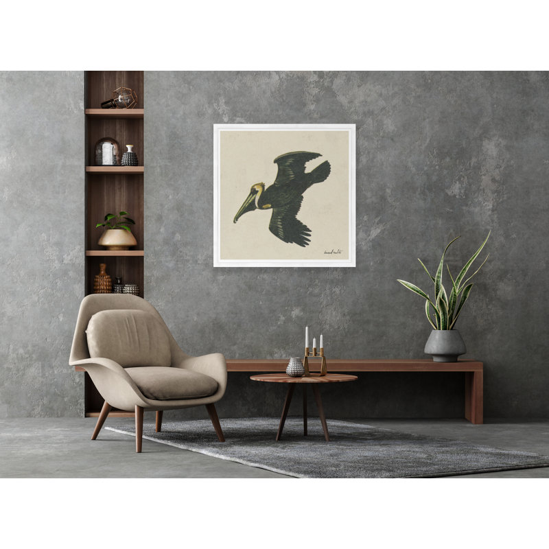 Pelican Print, White