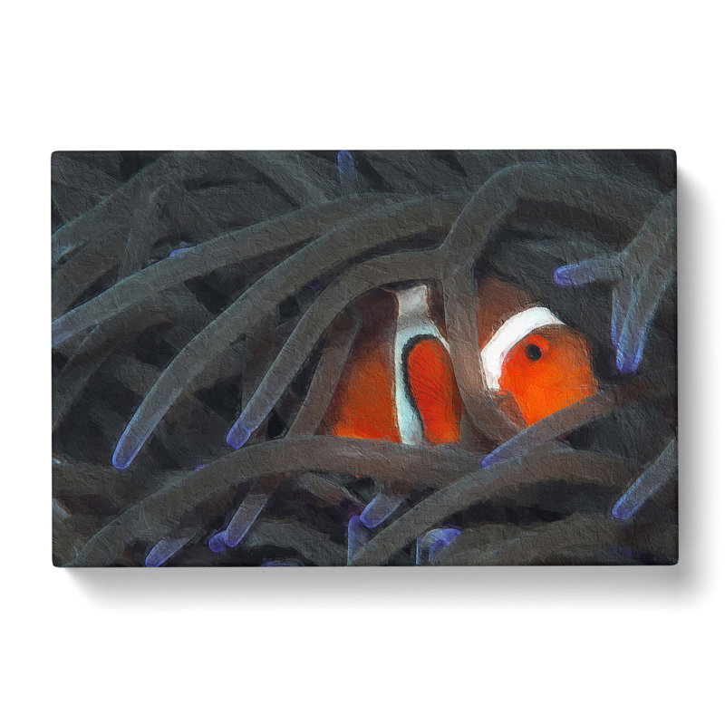 Peeping Clownfish - Wrapped Canvas, 35cm H x 50cm W x 3cm D