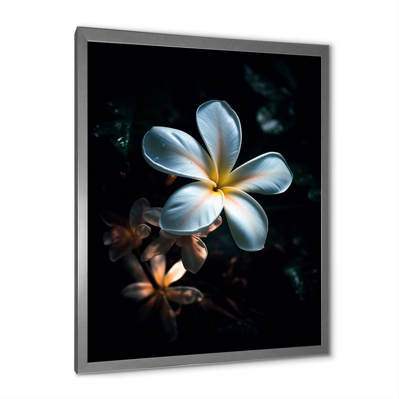 Blanc et noir exotique Plumeria Bloom III, Cadre simple argenté, H 32 po x l 24 po x P 1 po