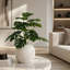 Emperatriz Ceramic Table Vase-938596585