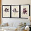Étude de tulipes antiques I - reproduction encadrée sur mesure de qualité supérieure mate - 3 pièces-1953666490