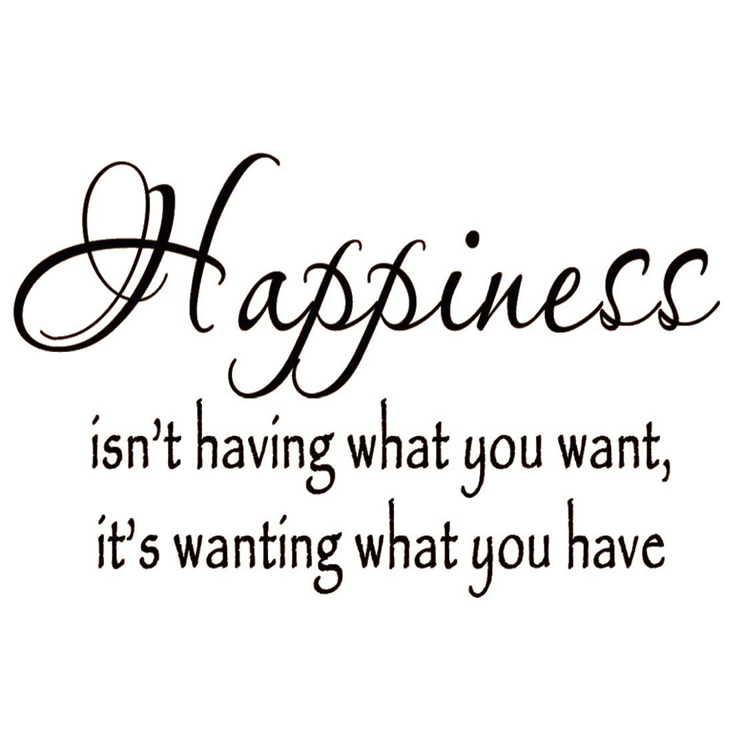 Cregganboy Happiness Isn't Having What You Want, It's Wanting What You have Inspirational Wall Decal Winston Porter 