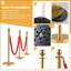 Paquet de 4 poteaux de chandelier robustes dorés, 2 cordes en velours rouge de 5 pi, barrières rétractables de contrôle des foules, base remplissable de sable, plateau en alliage de zinc pour les mariages, les musées et les fêtes