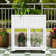 Wood Mini Cold Frame Greenhouse with Raised Bed, Polycarbonate Doors and Removable Wheels