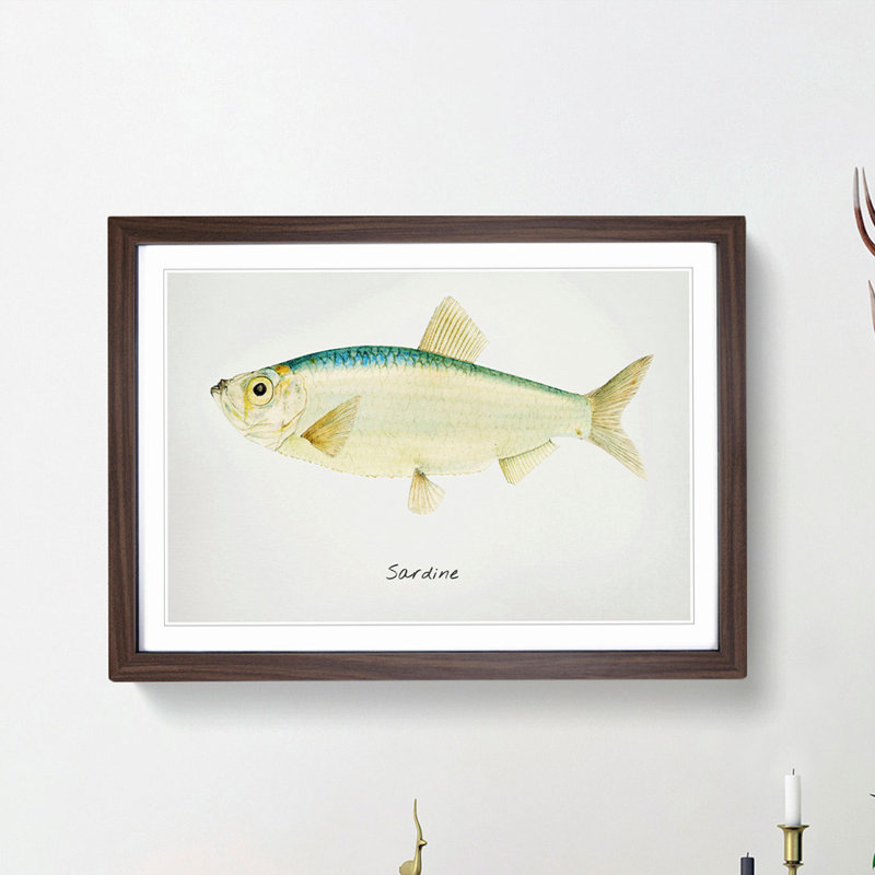Illustration of a Sardine by F.E. Clarke - Picture Frame Painting Print, 48cm H x 65cm W x 2cm D, Walnut Framed