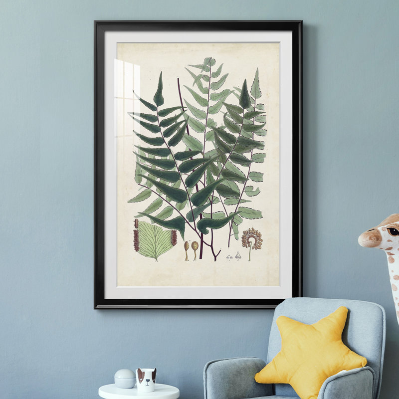 Collection Ferns VII - reproduction de cadre photo, Noir, H 36,5 po x l 26,5 po x P 1 po