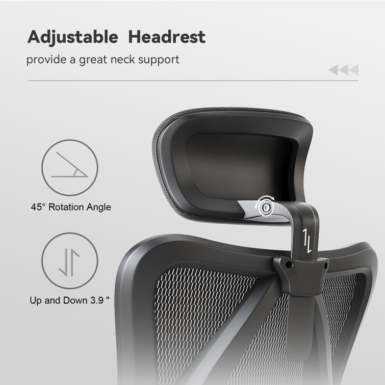 https://assets.wfcdn.com/im/56350399/resize-h755-w755%5Ecompr-r85/2607/260728713/Ashendon+Ergo+Mesh+Office+Chair+with+Adjustable+Lumbar+Support+and+Padded+Armrests+for+5%273%22+to+6%273%22.jpg