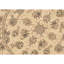 Hand Knotted Area Rug in Ivory