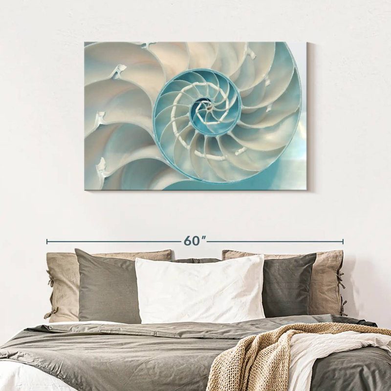 À l'intérieur d'une coquille Nautilus, H 30 po x l 45 po
