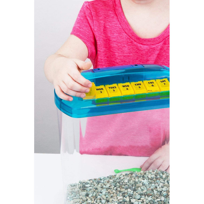 1.13 Gallon Rite-Bite Educational Aquarium Tank