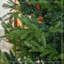 Arbre de Noël artificiel 7,5 pieds-579976089