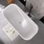 67" Freestanding Soaking Acrylic Bathtub