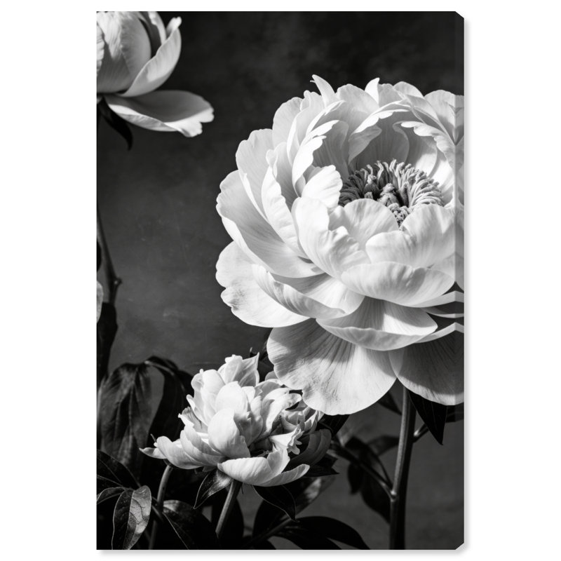 Still Peony Print by Oliver Gal, 15" H x 10" W, Gallery Wrapped