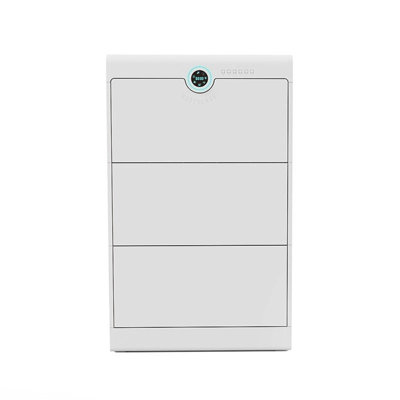18 Pair Shoe Storage Cabinet