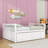  Daybed with Trundle and  Drawers-84980030-84980029