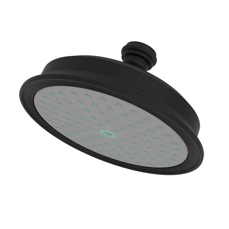 Single Function Shower Head, Flat Black
