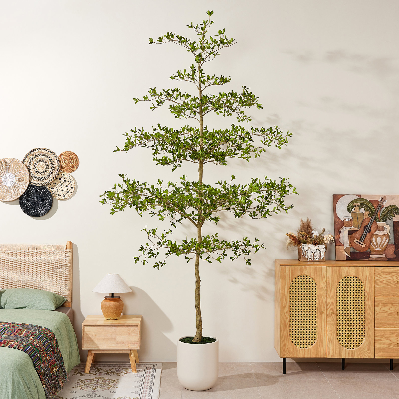 Caigan Olive Tree in Decorative Vase, 120 in x 52 in
