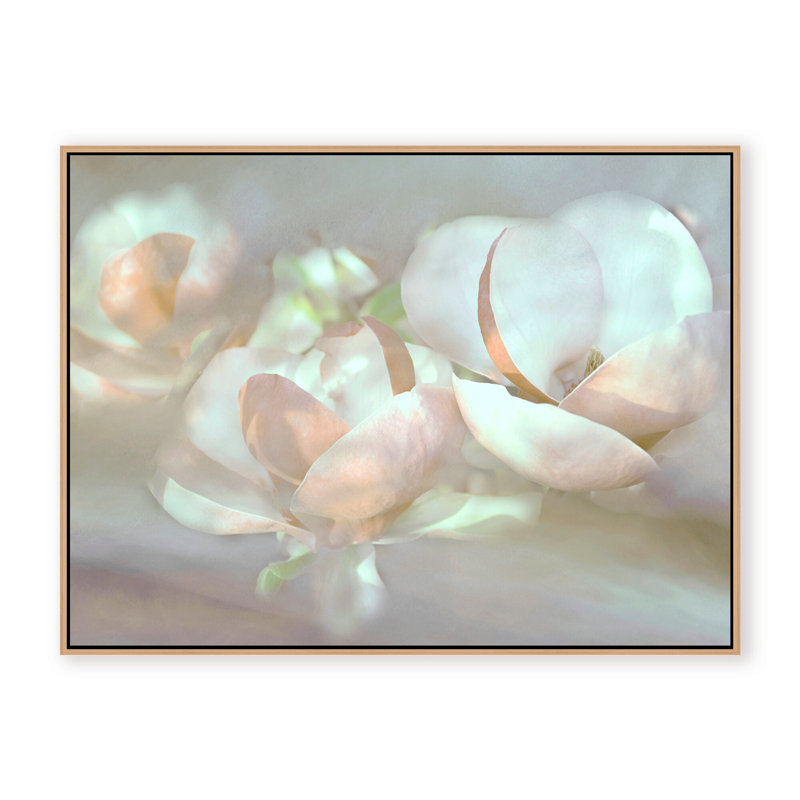 Nature Inspired Magnolia Dreams, 24" H x 30" W x 1.125" D, Framed Matted Print, White