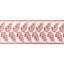 Fougere Border-175402936
