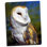 " Barn Owl " by Douglas Taylor