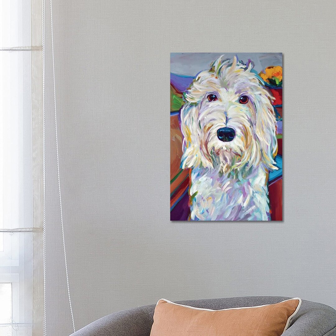 Willy The Schnoodle von Robert Phelps - Gallery-Wrapped Canvas Giclée on Canvas