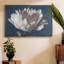 Pivoine blanc-93400180-93400182
