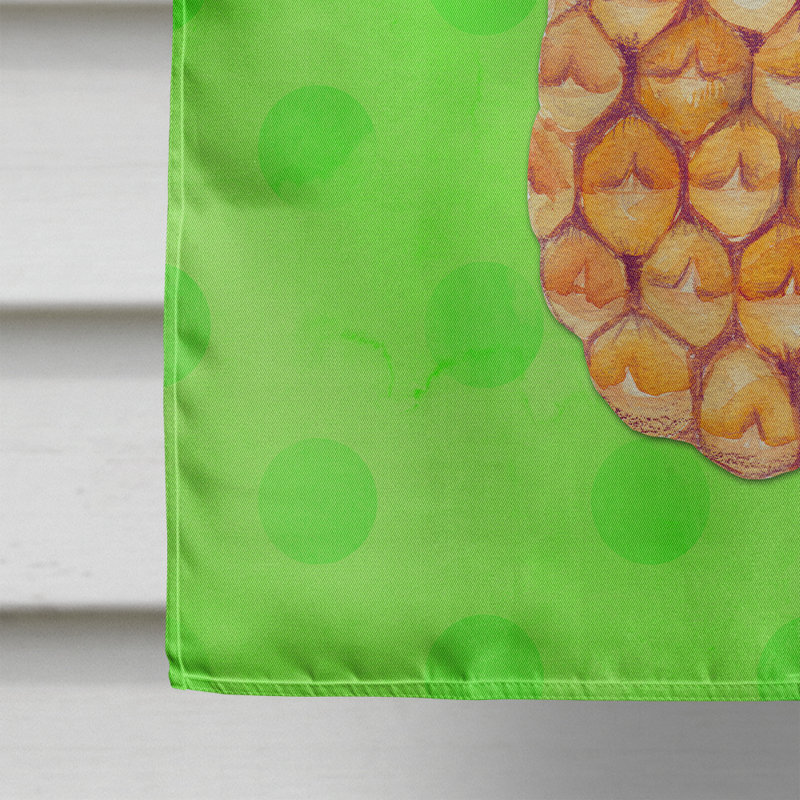 Drapeau de maison 40 po x 28 po Cambron, Vert