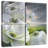 Summer Wind-1650436228