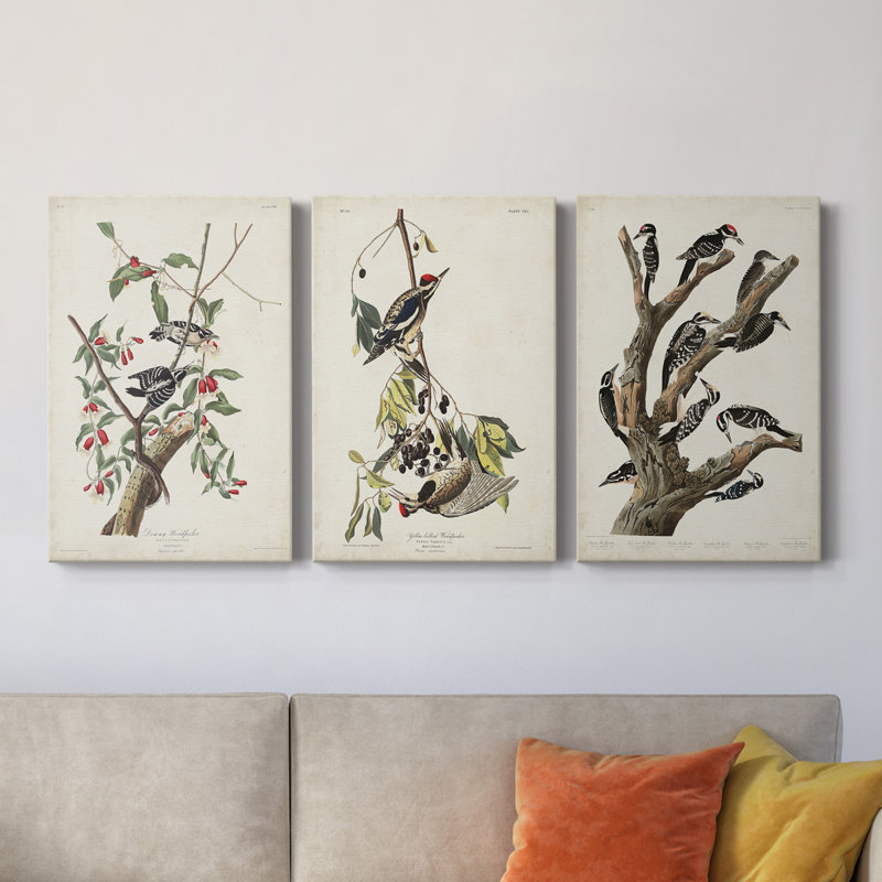 Pl. «112 Downy Woodpecker», ensemble de 3 peintures sur toile tendue, H 12 po x l 24 po x P 1 po