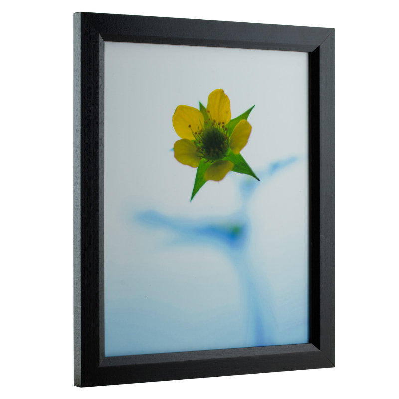 Cadre simple, Noir, 17 po x 21 po