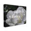 «Blooming White Petals», estampe numérique par Lil 'Rue-291646199-291646197