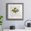 «Pressed Clover I», reproduction encadrée de qualité supérieure - prête à être accrochée-1872520561-1872557678-1872557684