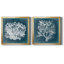 Azure Coral III Azure Coral III - Ensemble de 2 cadres photo-1042347039-981214488-981890744