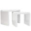 Farrah Sled Nesting Tables-24694998