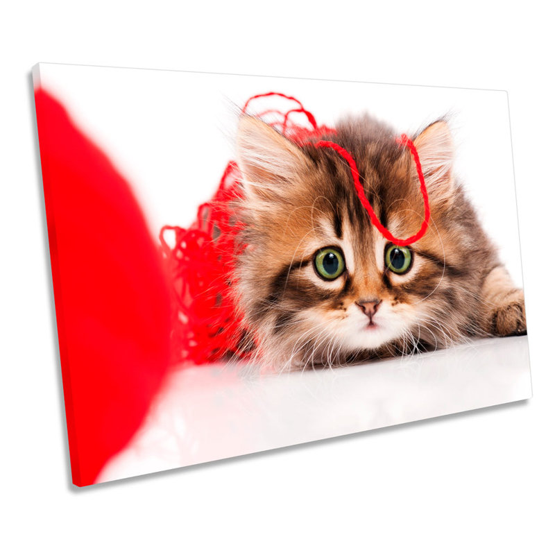 Cute Kitten Cat Wool - Wrapped Canvas Print, 81.3cm H x 121.9cm W x 4cm D