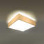 Midgegooroo Flush Mount-860494556-892475543