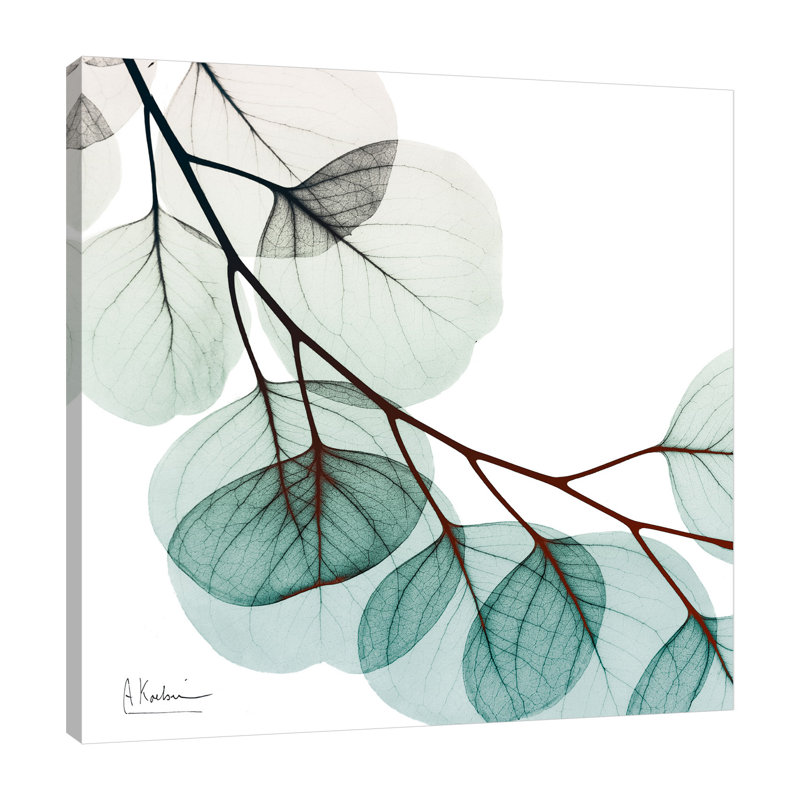 " Extravagant Eucalyptus 2 ", 12" H x 12" W x 1.5" D