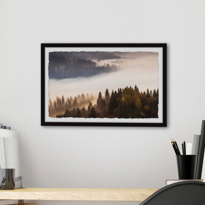 Into The Forest - Single Picture Frame Print