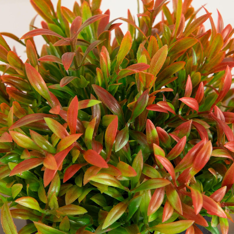 6 po Herbe artificielle en pot noir - ensemble de 2, Assortment 2