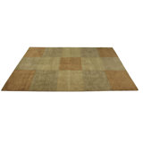Wasif Area Rug in Brown