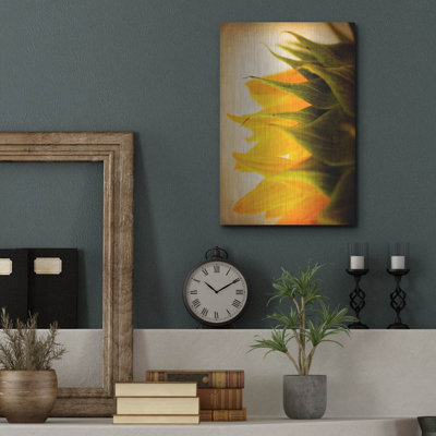 «Late Bloomer» par Jessica Rogers