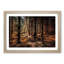 Within the Woods - Framed Print-55613128-55613129