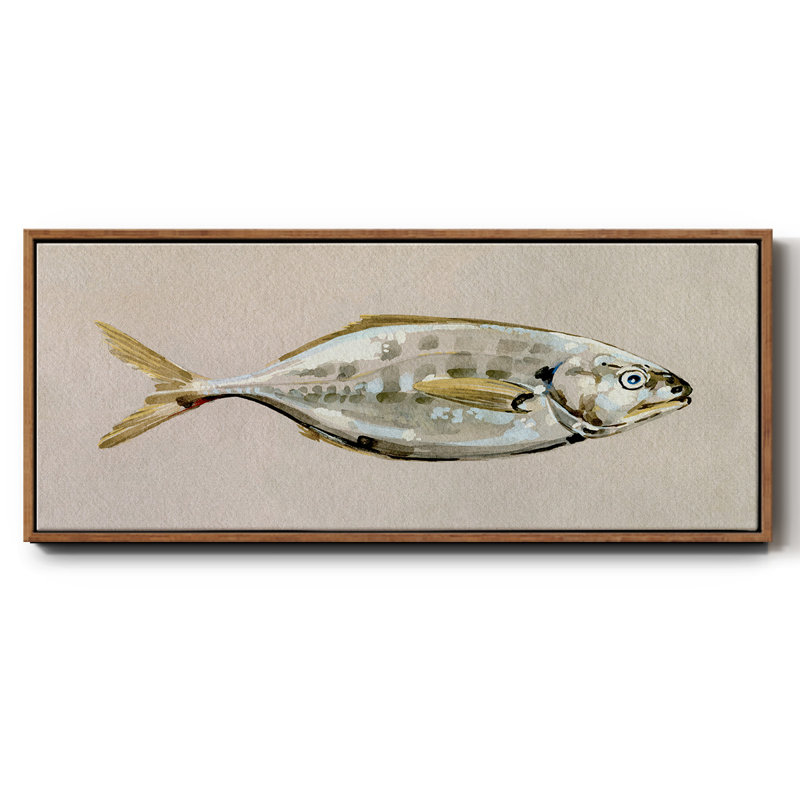 Fresh Fish Study I- Framed Canvas, 20" H x 50" W